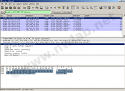 Wireshark